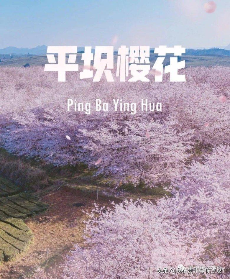 帮主你这是喜脉啊